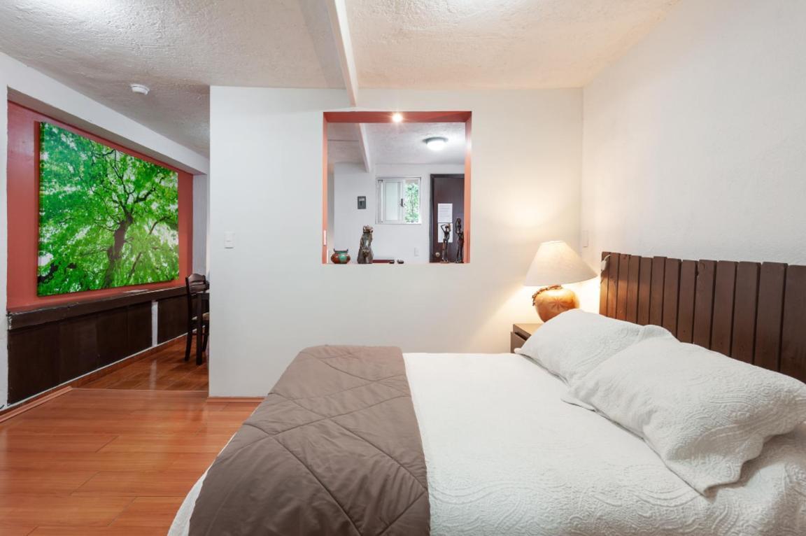 Suite 5A, Altavista, Garden House, Welcome To San Angel Mexico City Exterior photo
