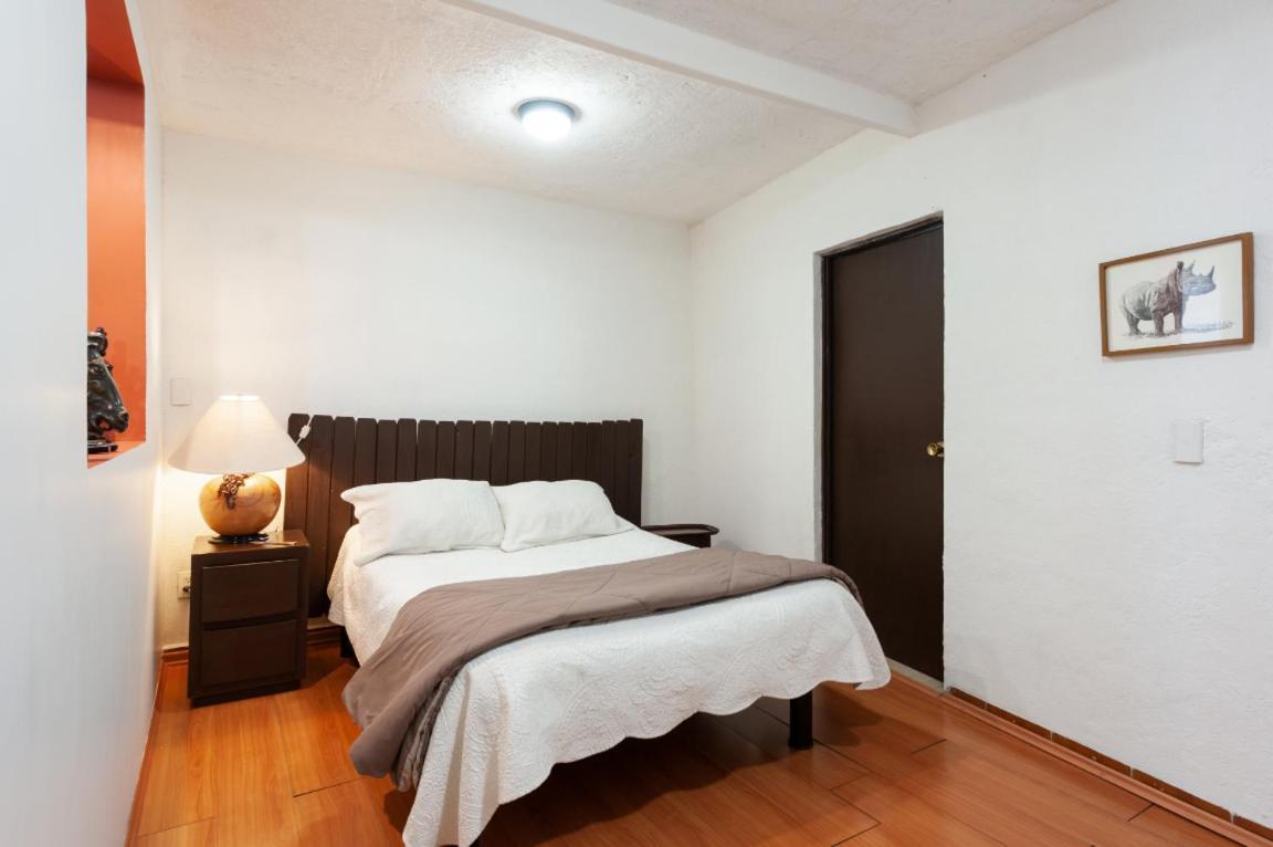 Suite 5A, Altavista, Garden House, Welcome To San Angel Mexico City Exterior photo
