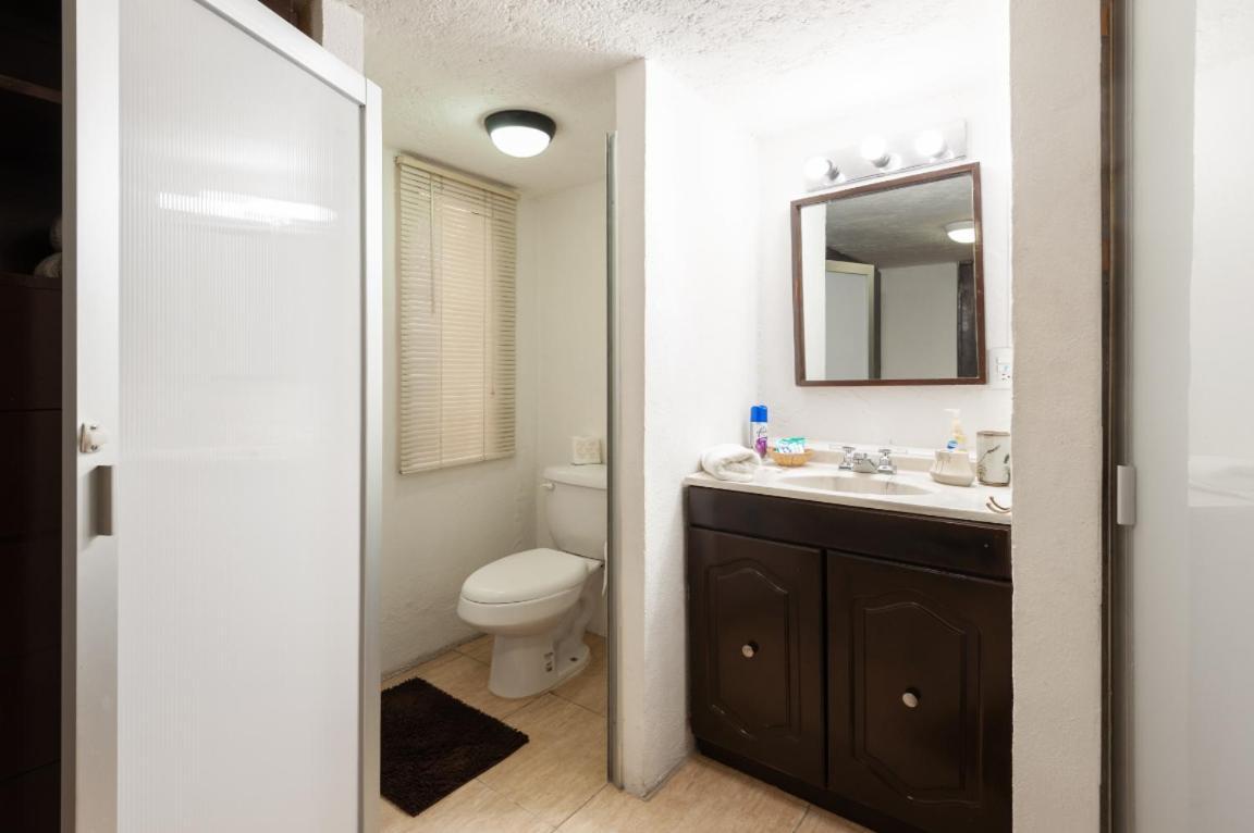 Suite 5A, Altavista, Garden House, Welcome To San Angel Mexico City Exterior photo