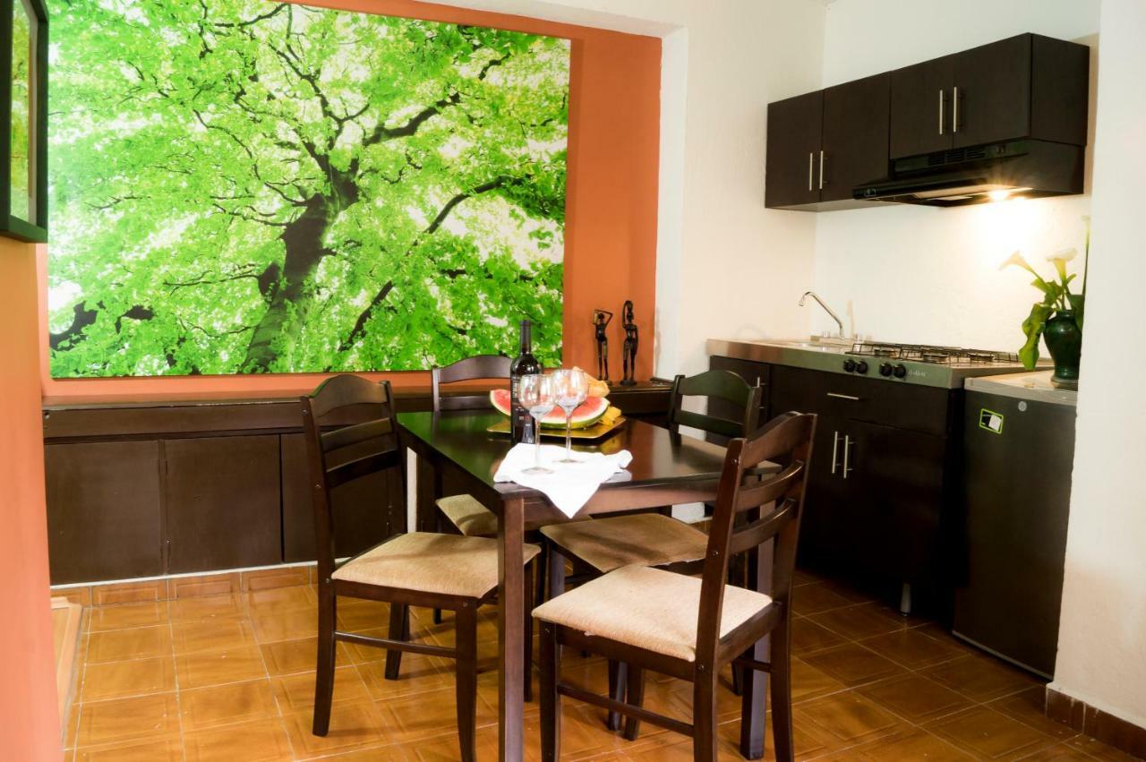 Suite 5A, Altavista, Garden House, Welcome To San Angel Mexico City Exterior photo